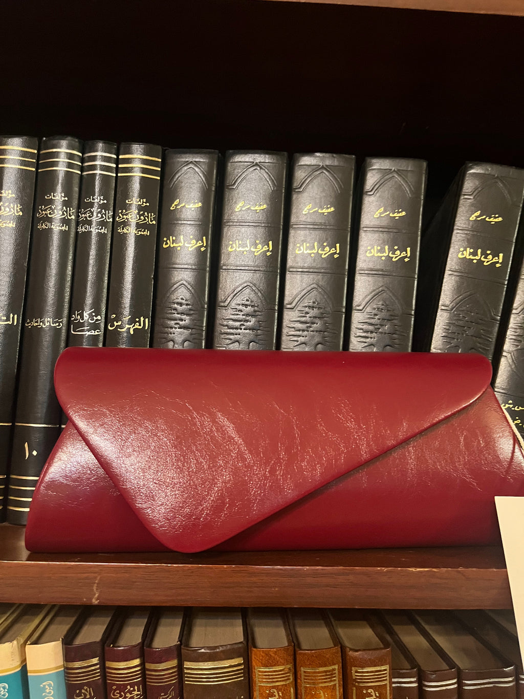 Celina Bag