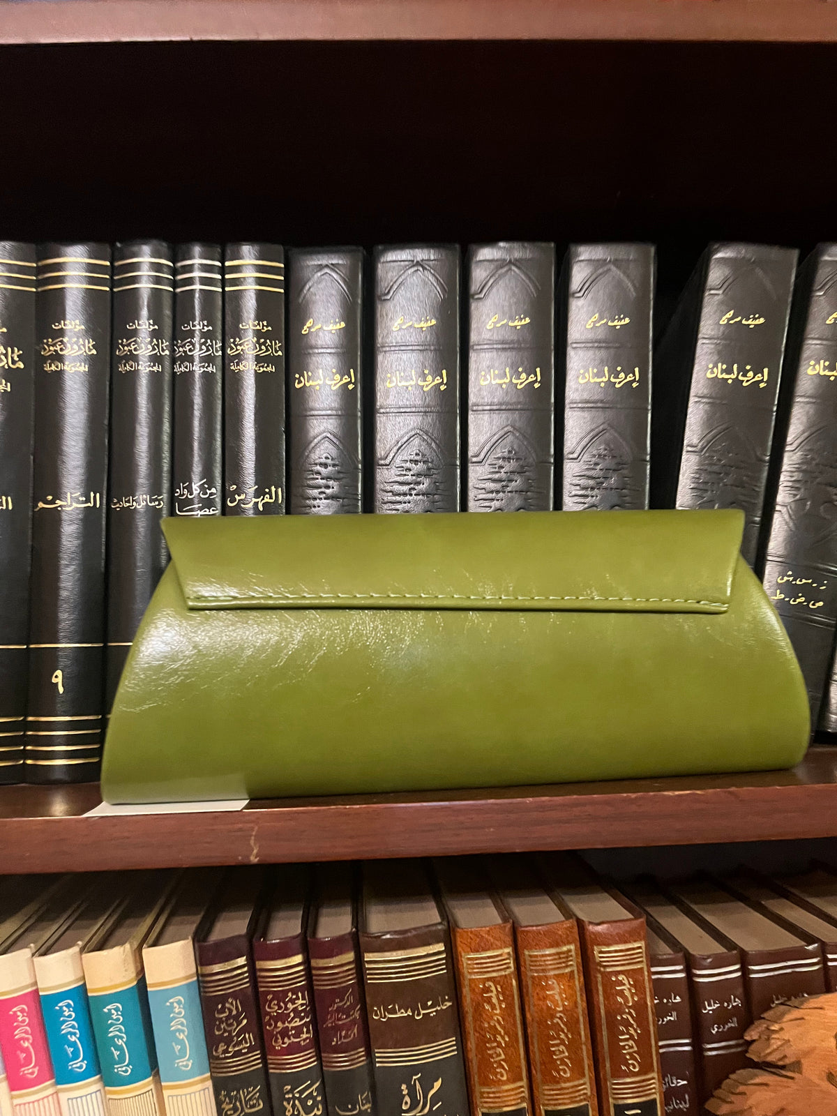 Celina Bag