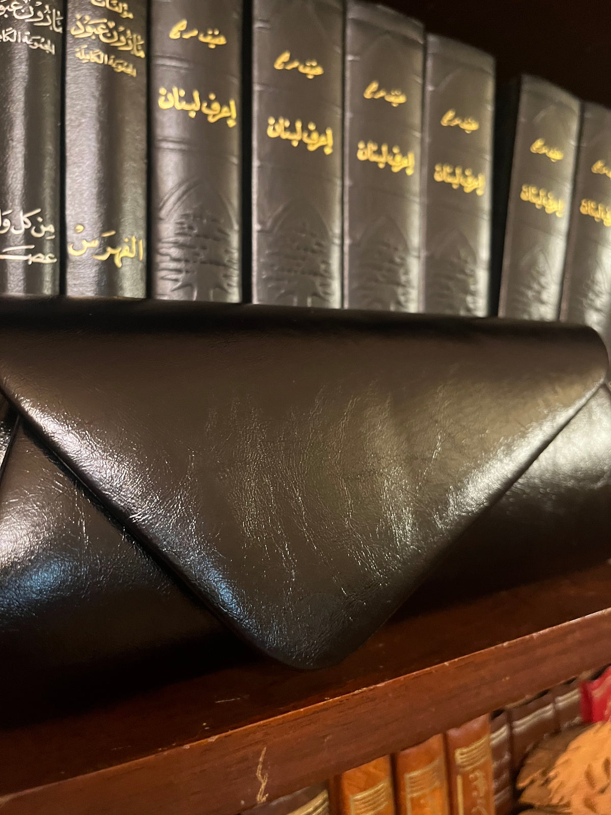 Celina Bag