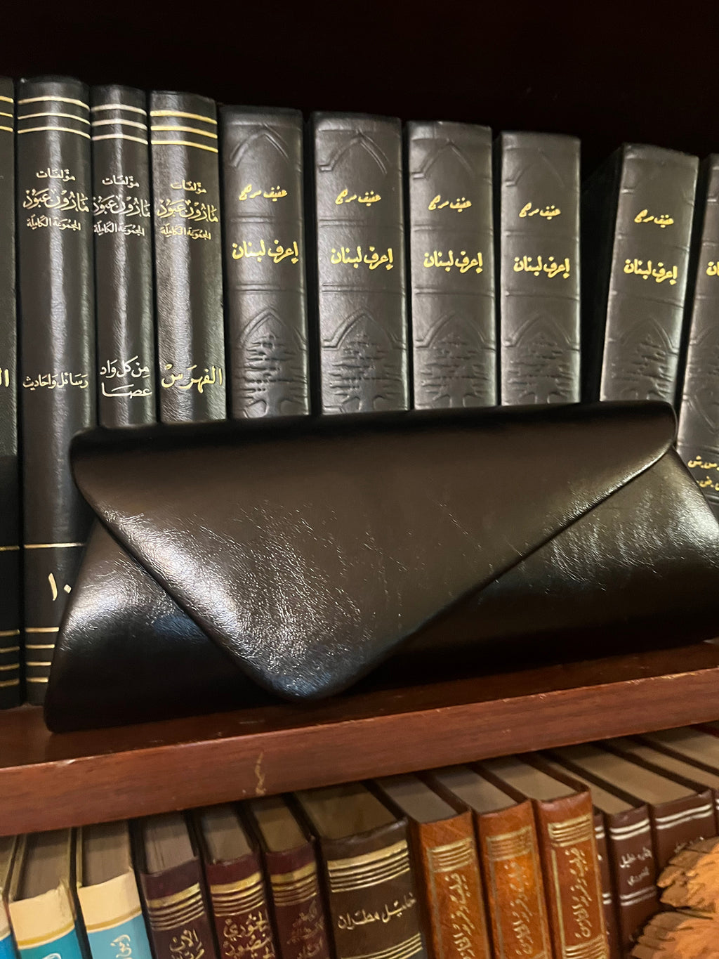 Celina Bag