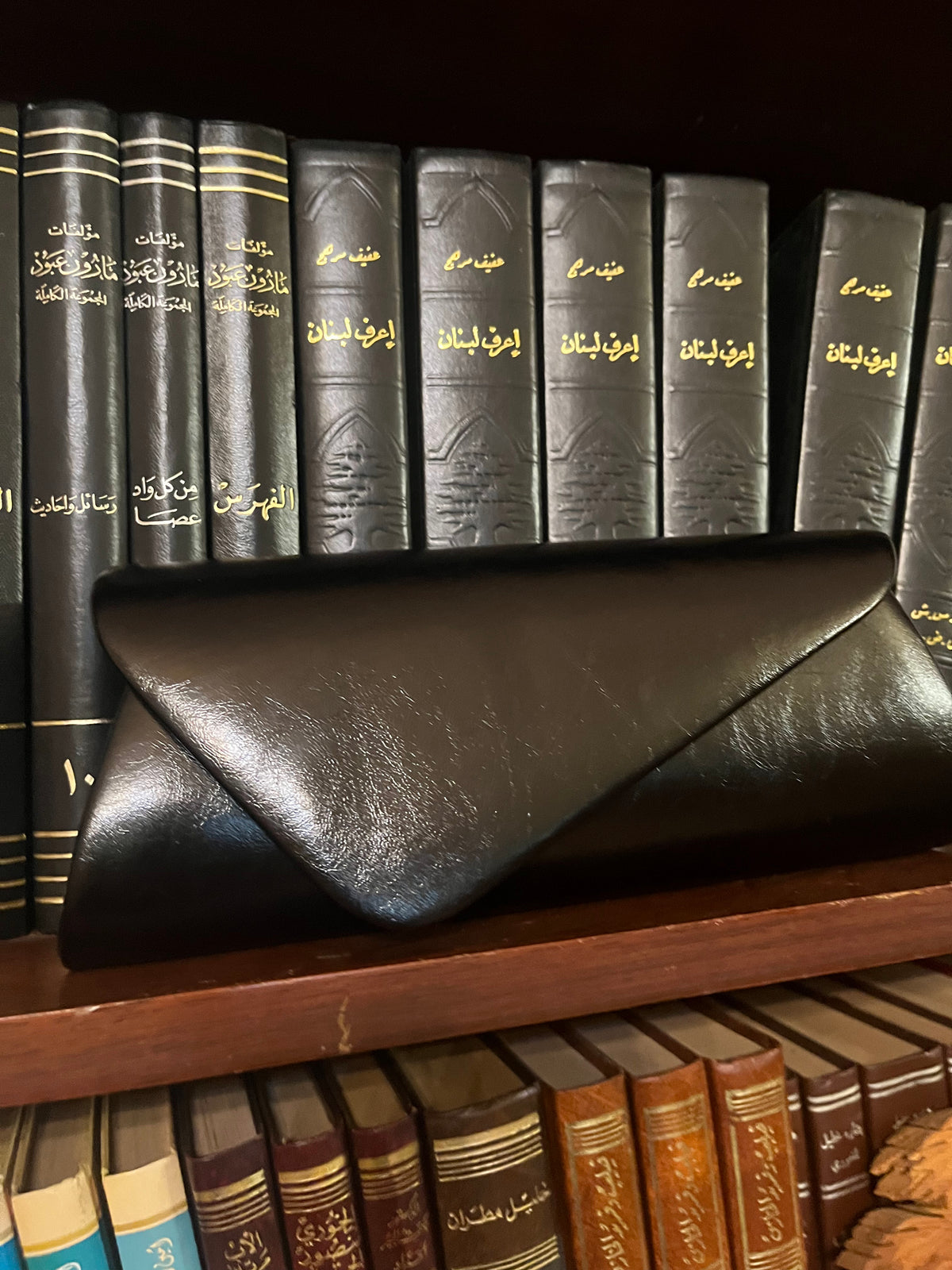 Celina Bag