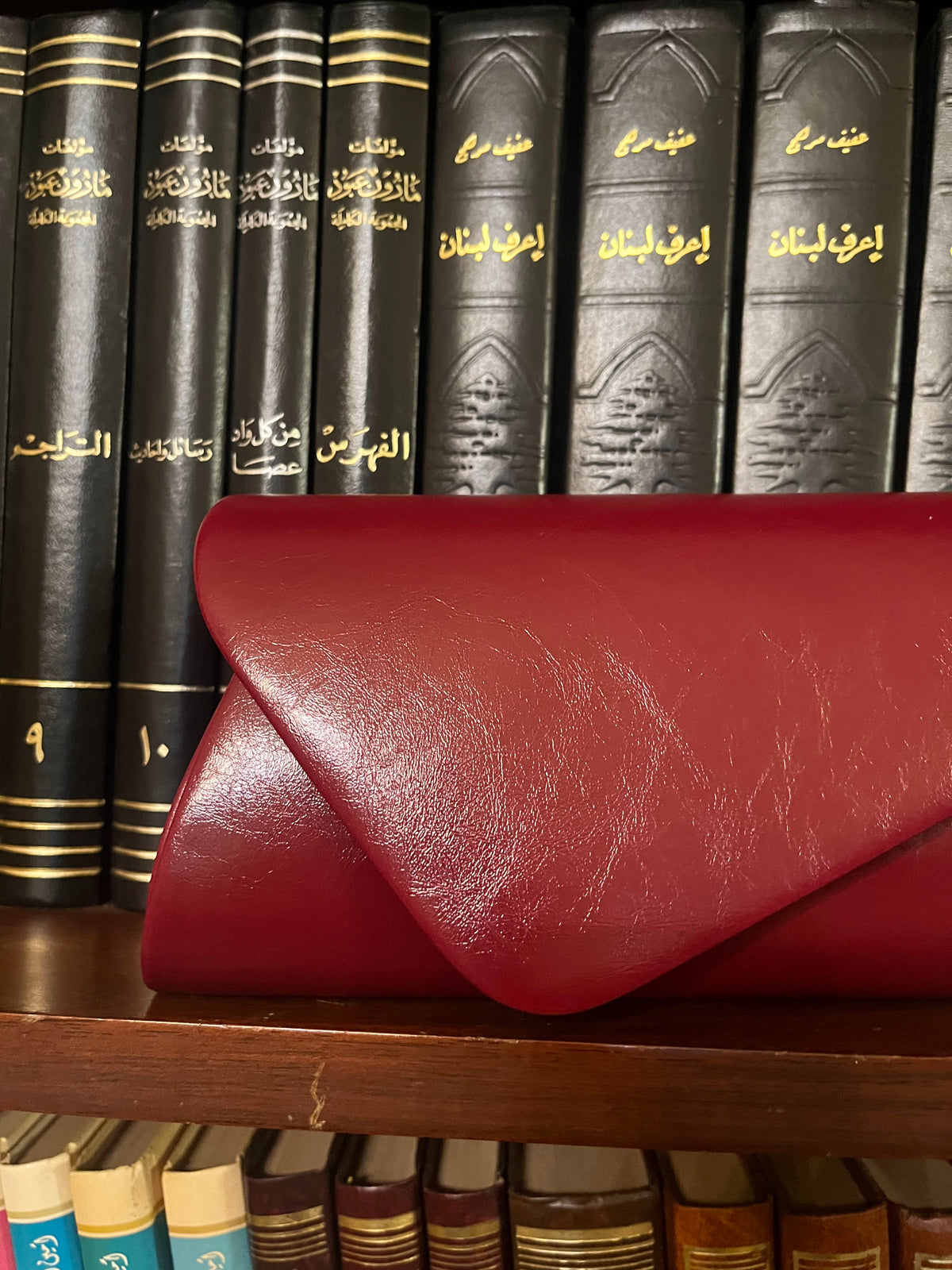 Celina Bag