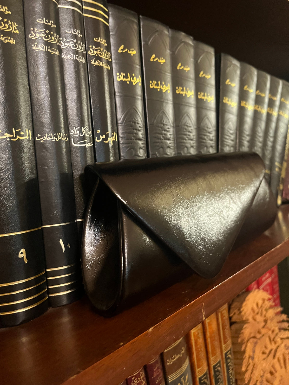 Celina Bag